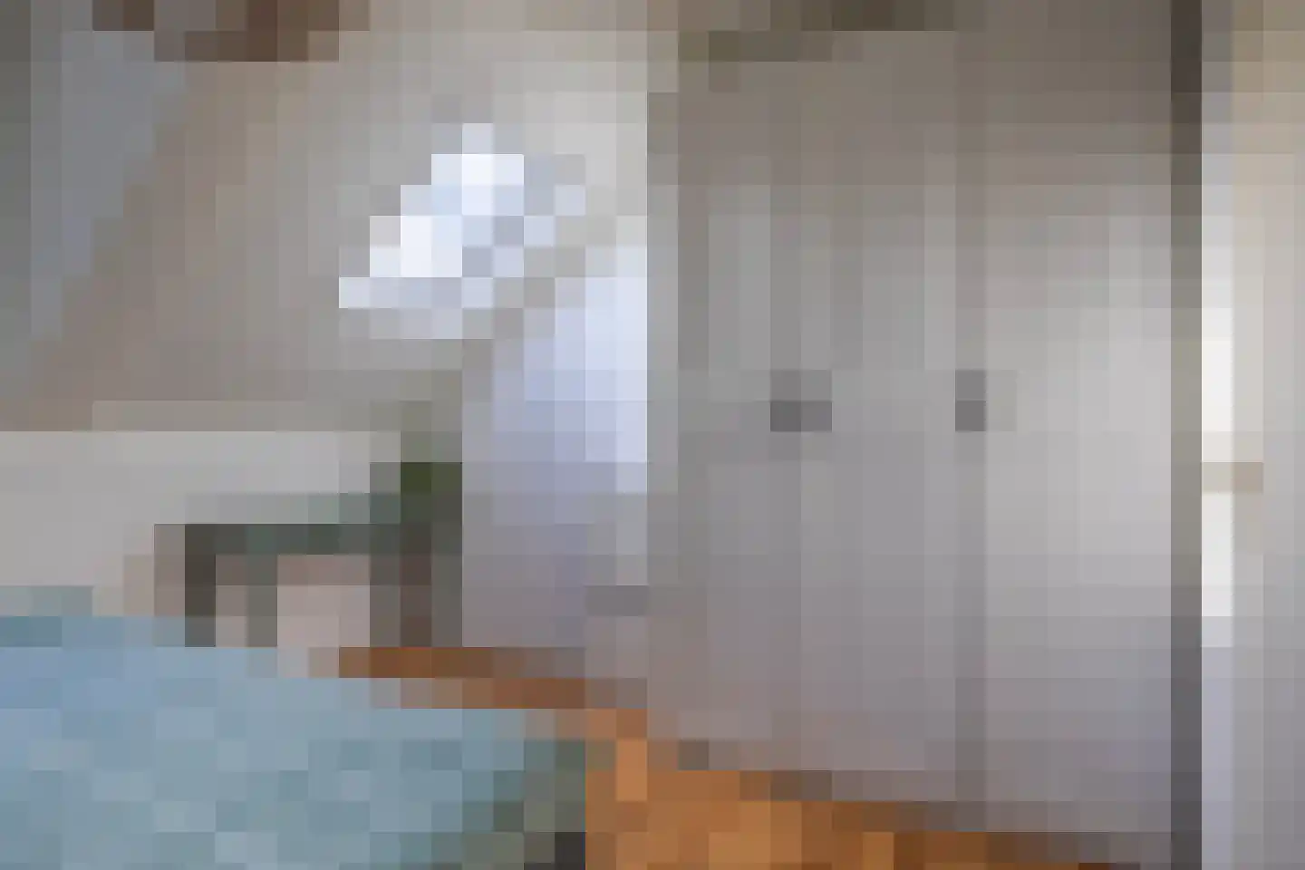 Schapenweide 94 Duiven thumbnail 27