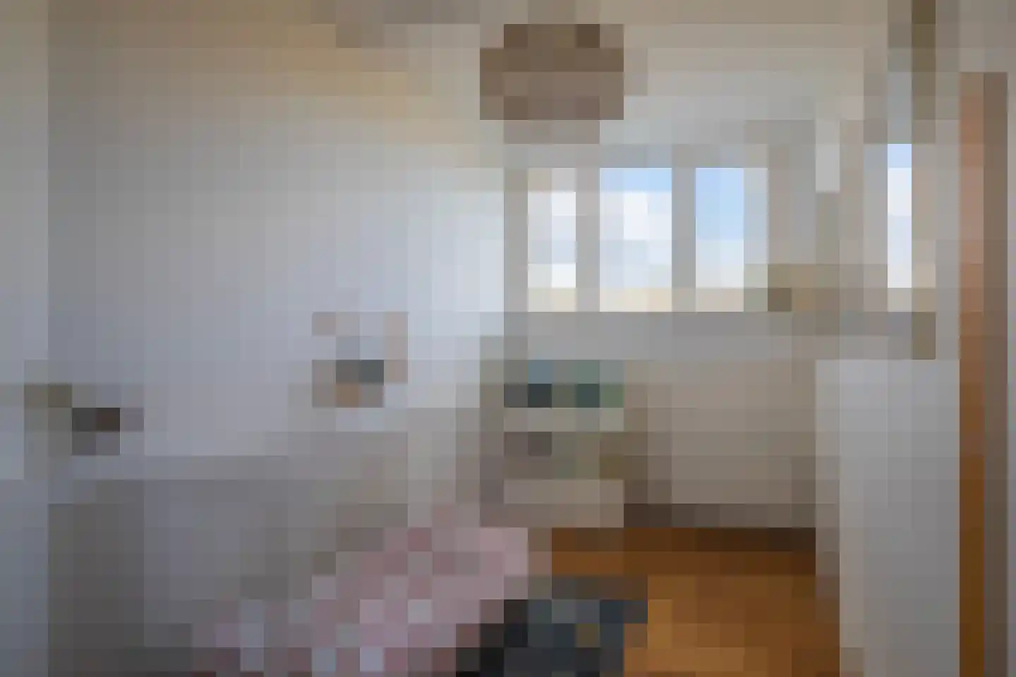 Schapenweide 94 Duiven thumbnail 31