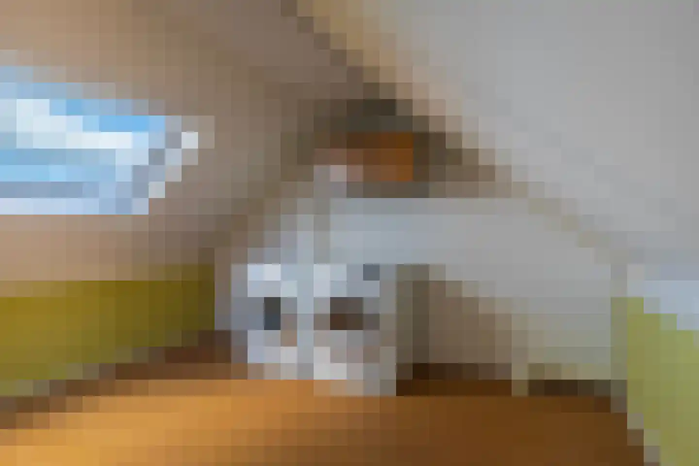 Schapenweide 94 Duiven thumbnail 35