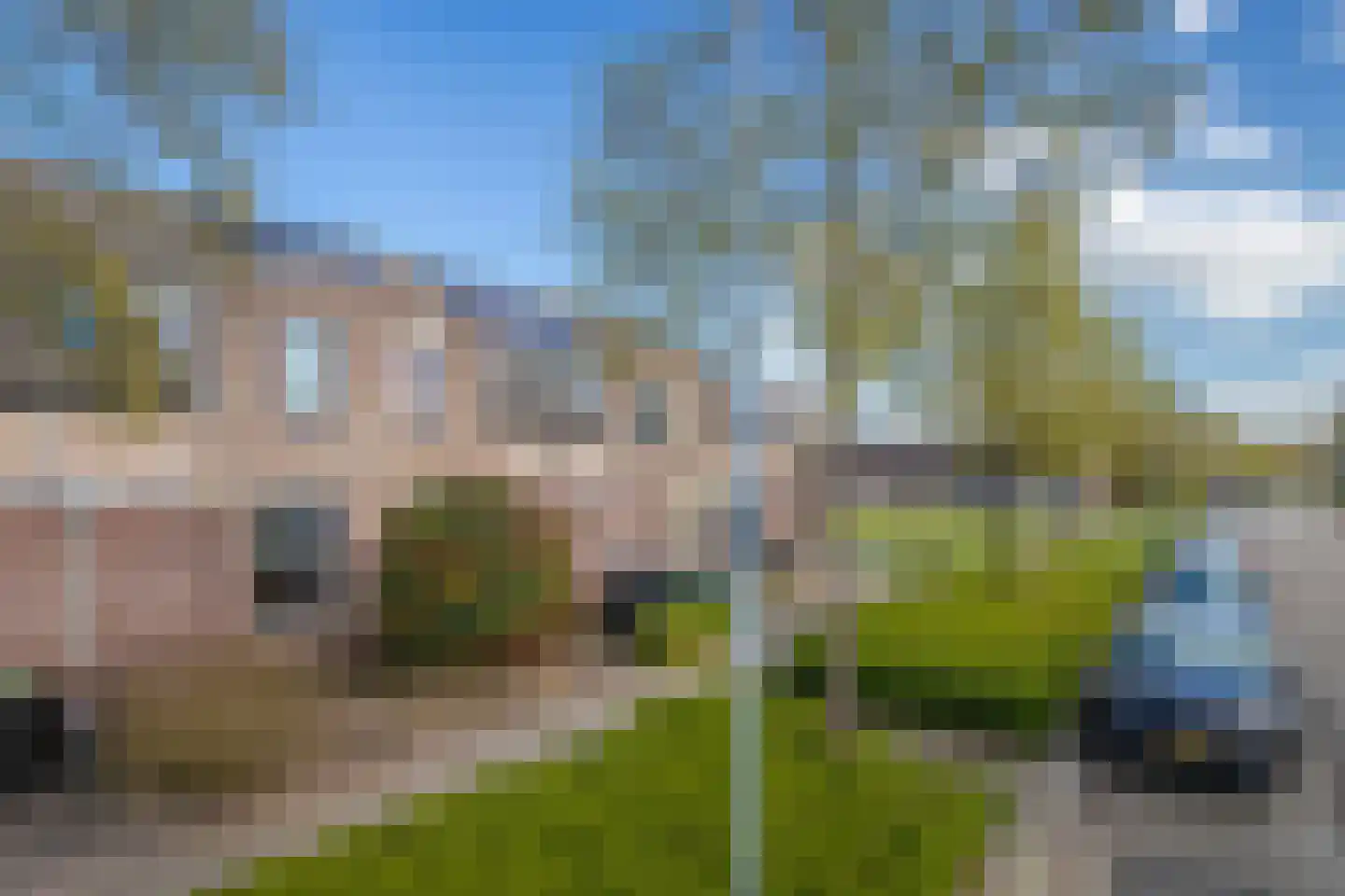 Schapenweide 94 Duiven thumbnail 6