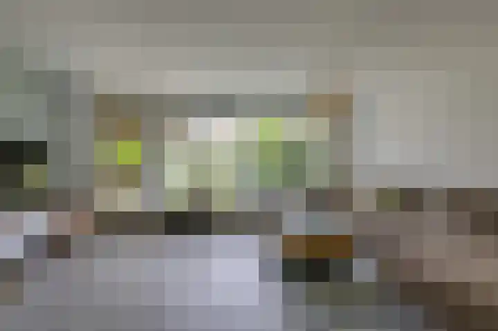 Schapenweide 97 Duiven thumbnail 12