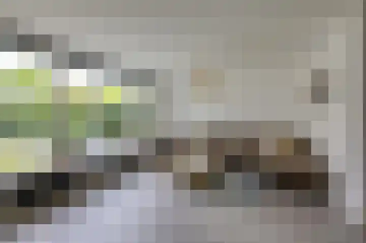 Schapenweide 97 Duiven thumbnail 14