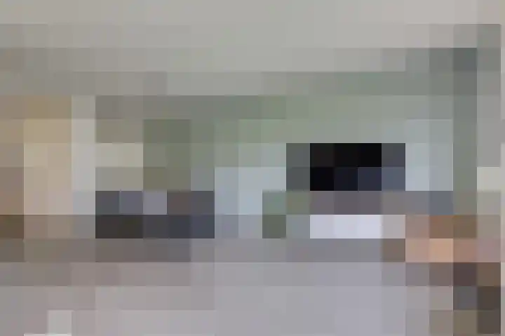 Schapenweide 97 Duiven thumbnail 16