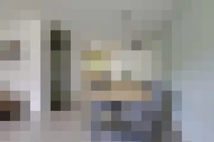 Schapenweide 97 Duiven thumbnail 18