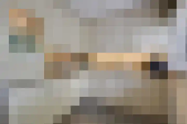 Schapenweide 97 Duiven thumbnail 19