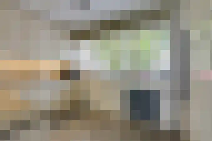 Schapenweide 97 Duiven thumbnail 20