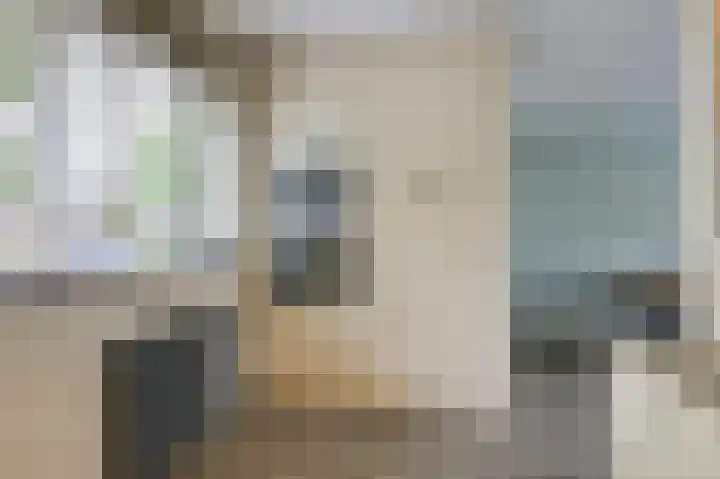 Schapenweide 97 Duiven thumbnail 21