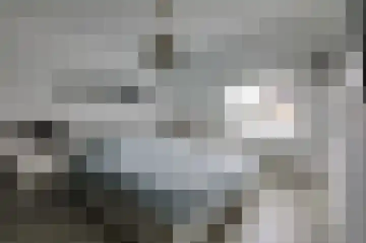 Schapenweide 97 Duiven thumbnail 26