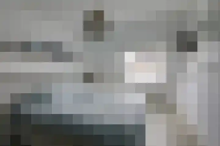 Schapenweide 97 Duiven thumbnail 27