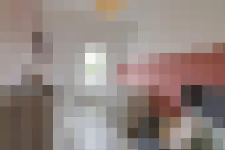 Schapenweide 97 Duiven thumbnail 29
