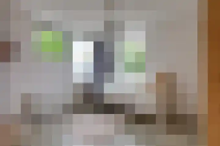 Schapenweide 97 Duiven thumbnail 32