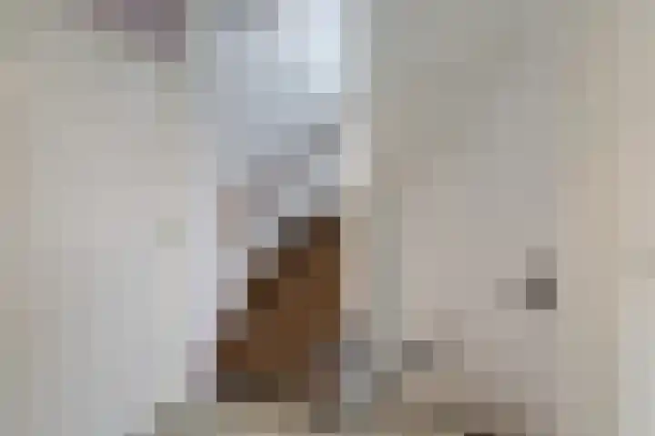 Schapenweide 97 Duiven thumbnail 38