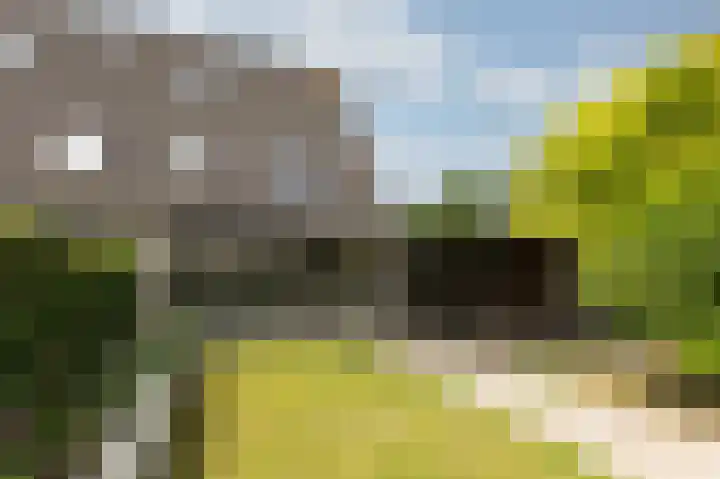 Schapenweide 97 Duiven thumbnail 4