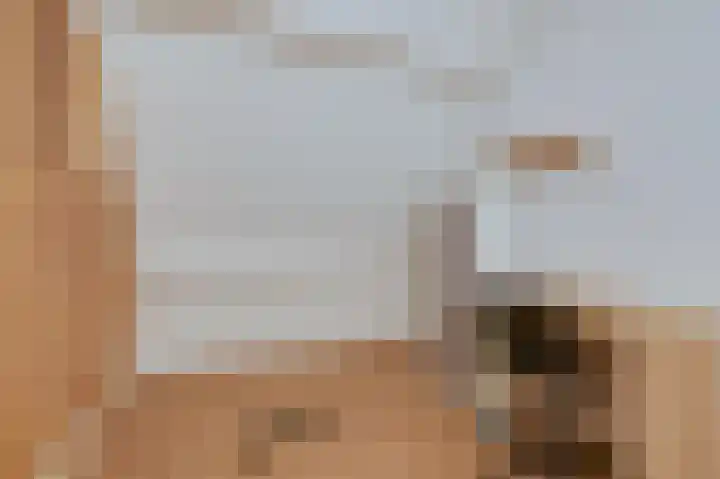 Schapenweide 97 Duiven thumbnail 42