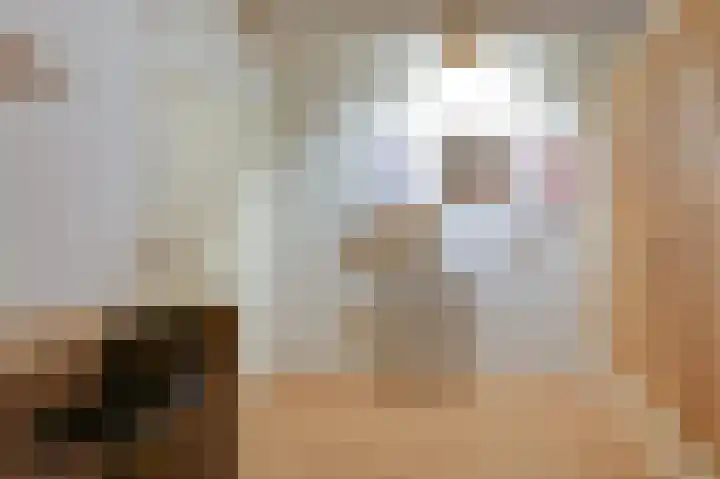 Schapenweide 97 Duiven thumbnail 43