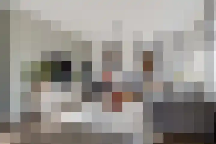 Schapenweide 97 Duiven thumbnail 45
