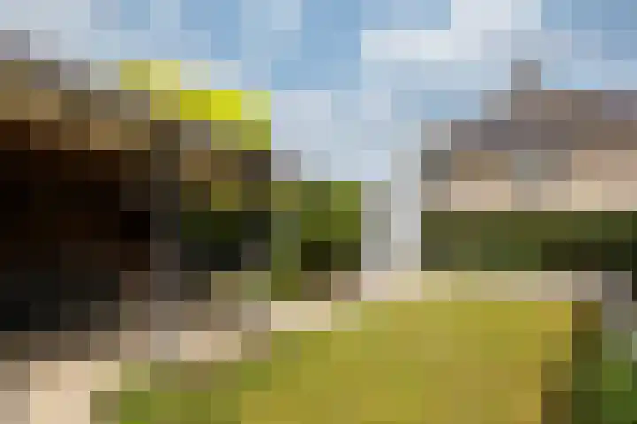 Schapenweide 97 Duiven thumbnail 45