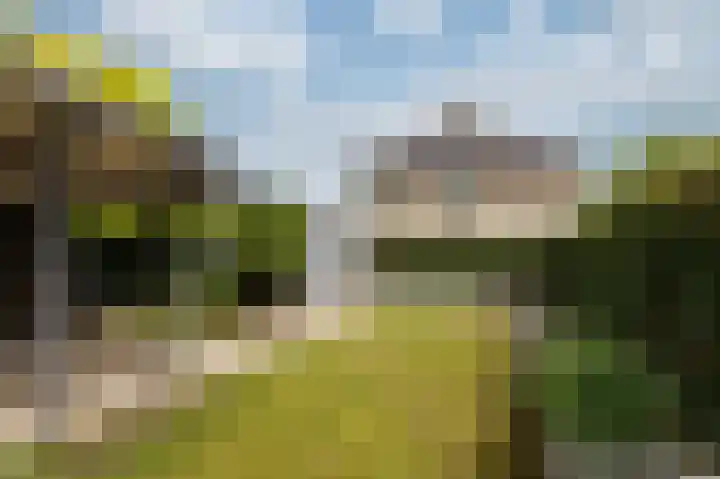 Schapenweide 97 Duiven thumbnail 46