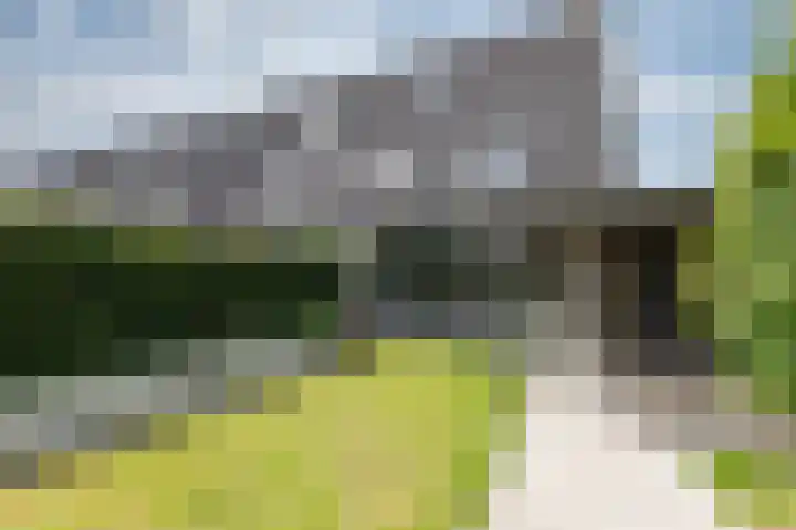 Schapenweide 97 Duiven thumbnail 48