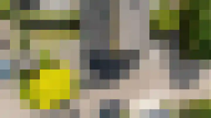 Schapenweide 97 Duiven thumbnail 55