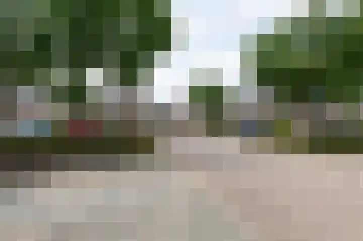 Schapenweide 97 Duiven thumbnail 58