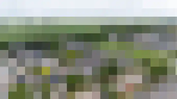 Schapenweide 97 Duiven thumbnail 59
