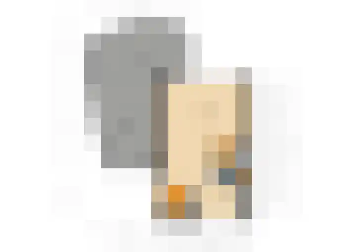Schapenweide 97 Duiven thumbnail 61