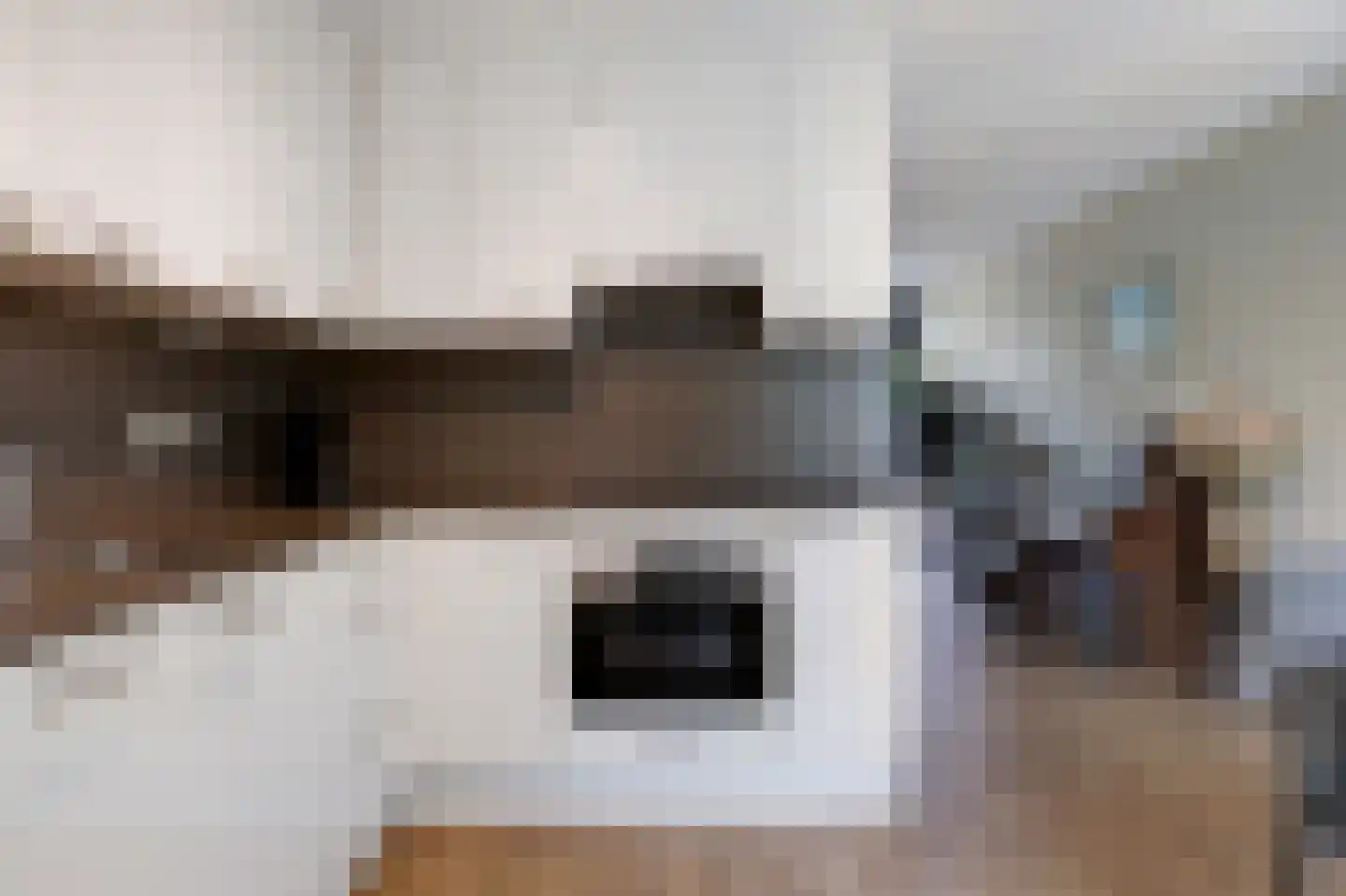 Schapenweide 98 Duiven thumbnail 13