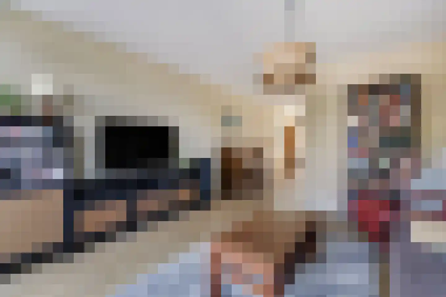 Schapenweide 98 Duiven thumbnail 17