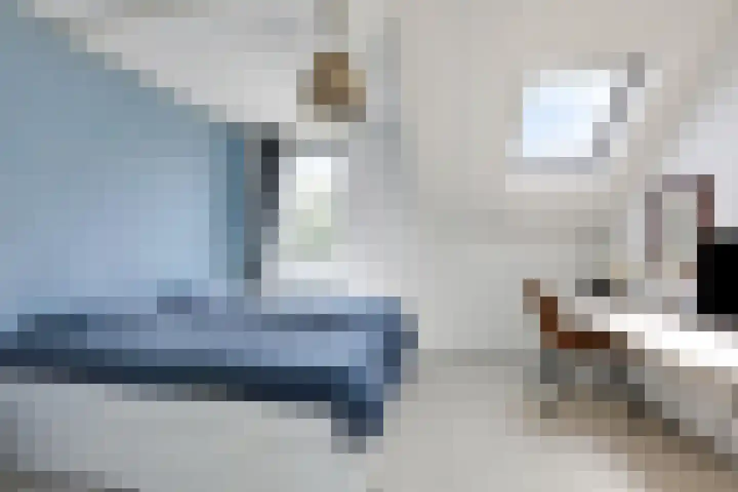 Schapenweide 98 Duiven thumbnail 24