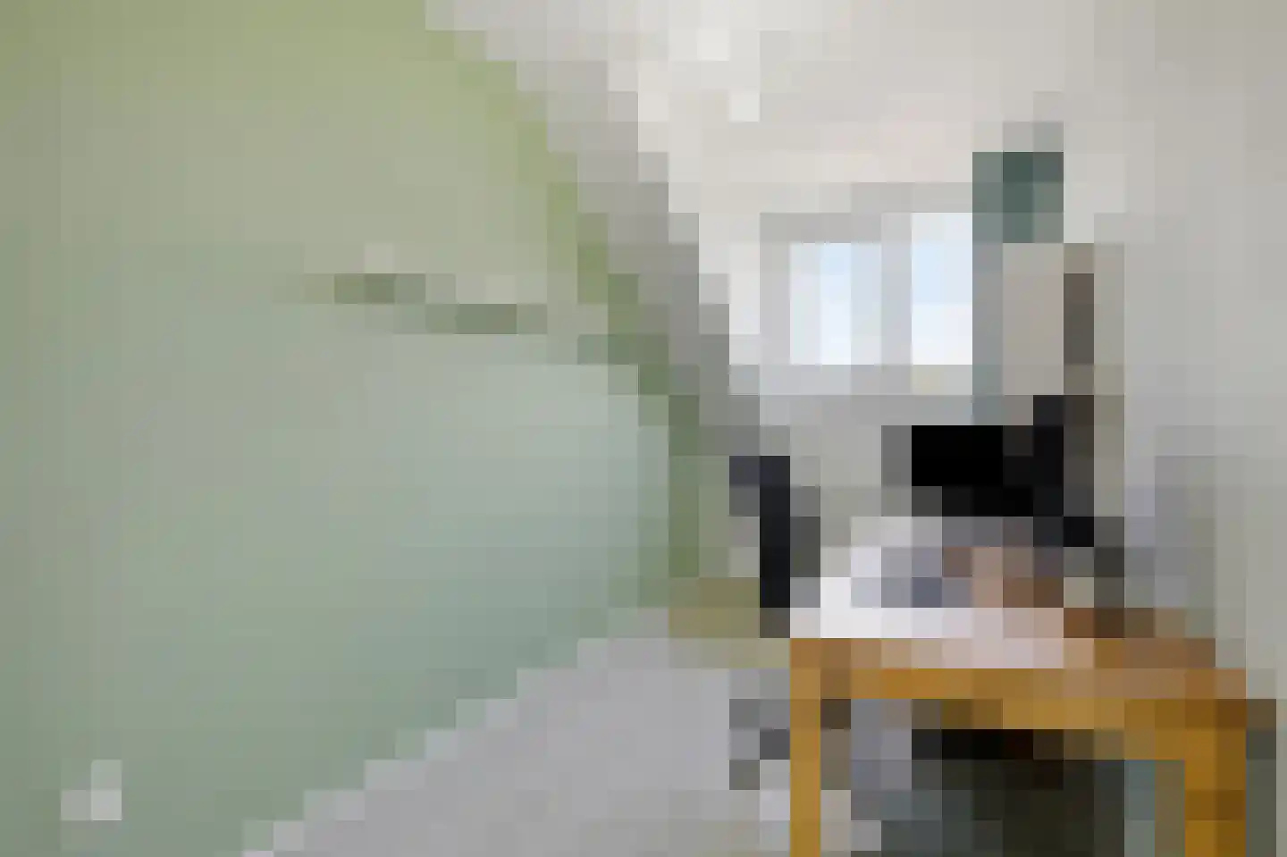 Schapenweide 98 Duiven thumbnail 26