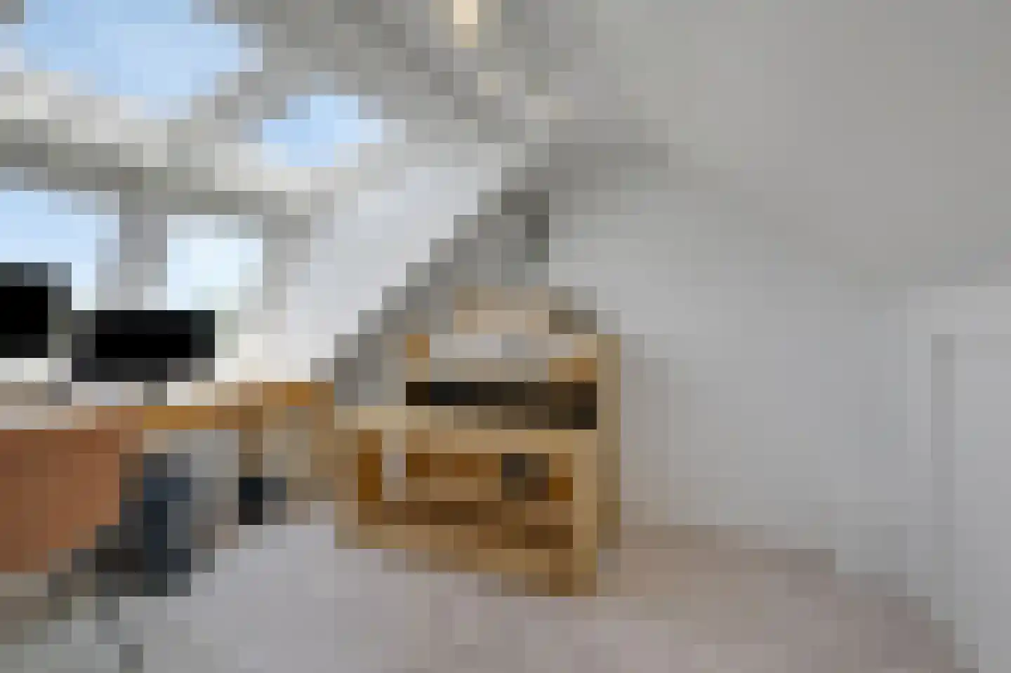 Schapenweide 98 Duiven thumbnail 36