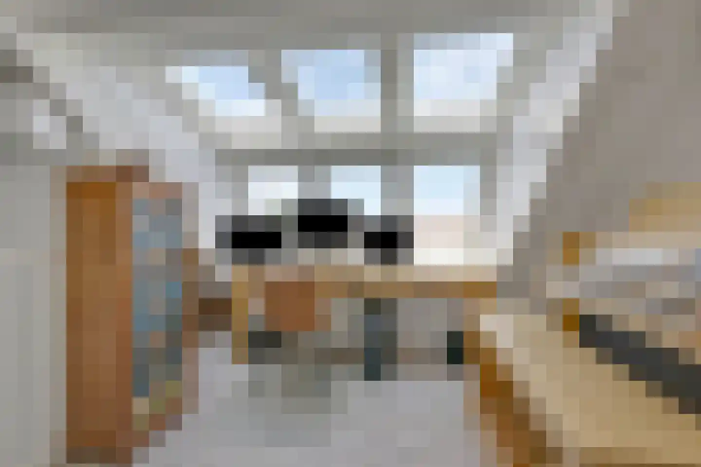 Schapenweide 98 Duiven thumbnail 4