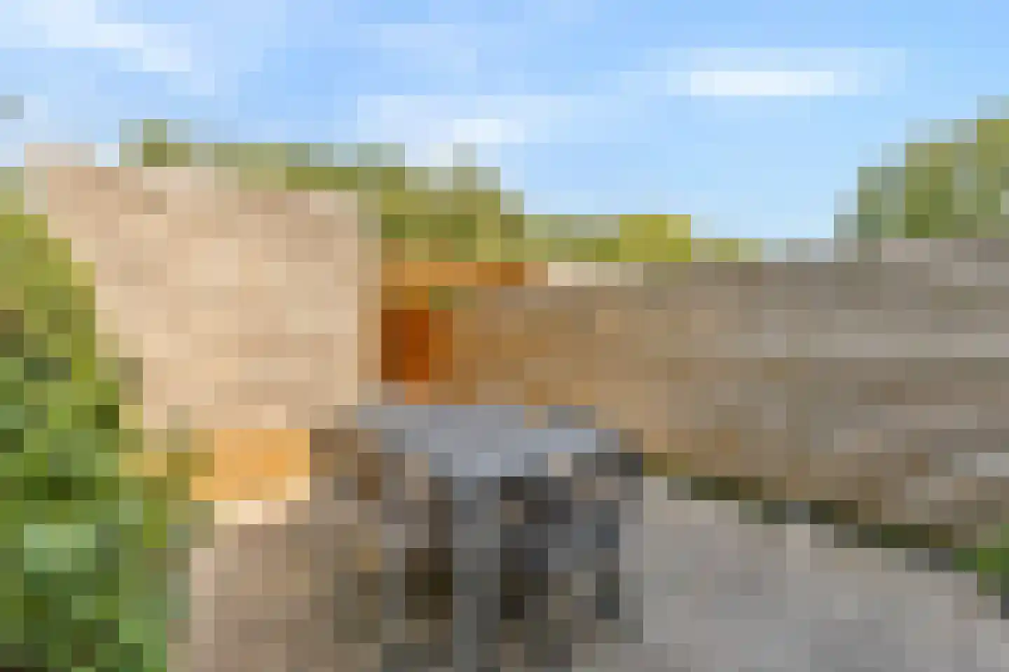 Schapenweide 98 Duiven thumbnail 40