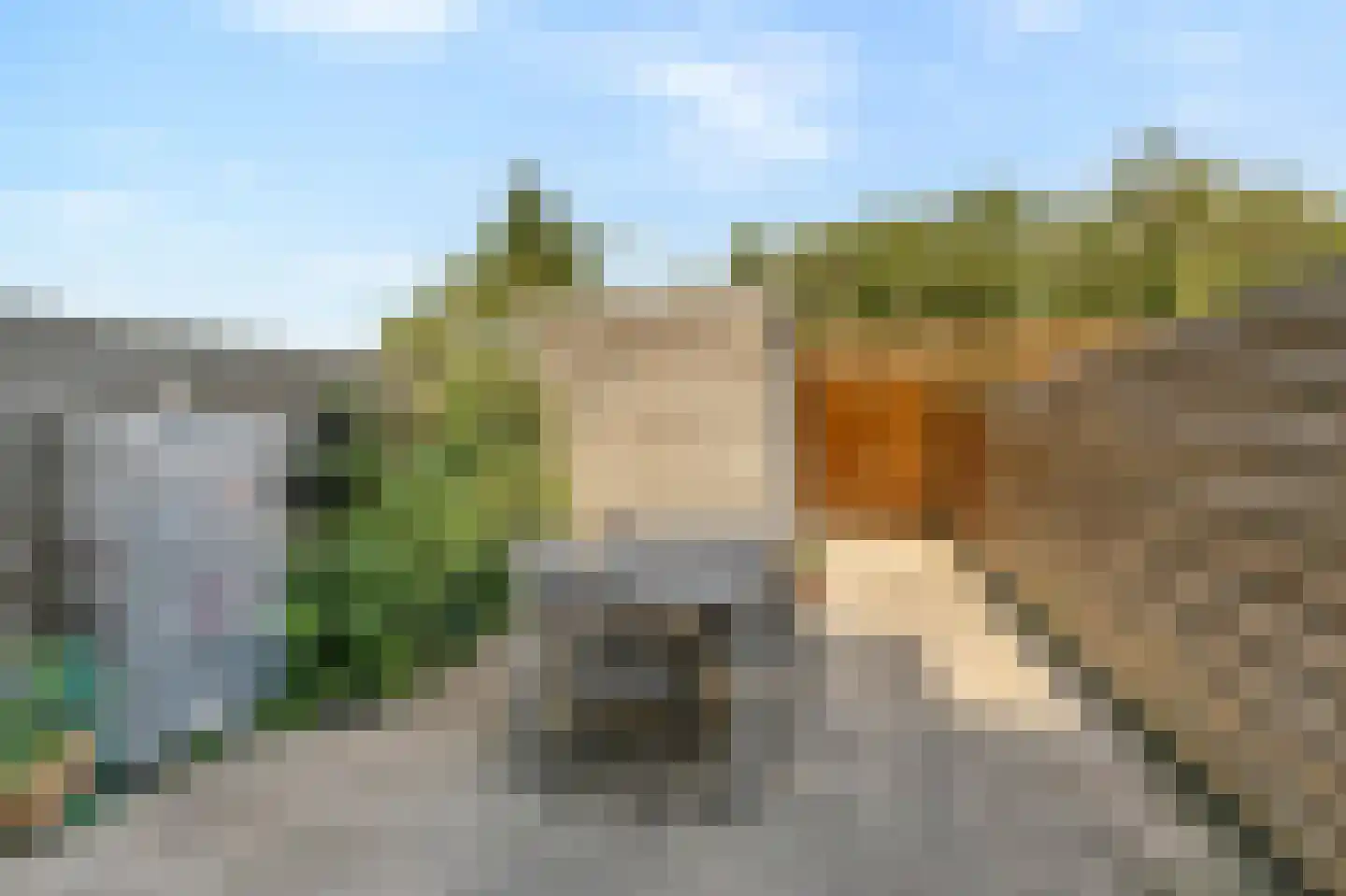 Schapenweide 98 Duiven thumbnail 41