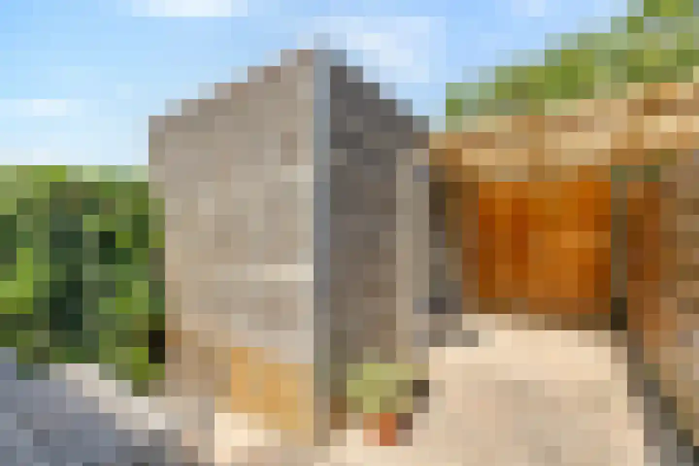 Schapenweide 98 Duiven thumbnail 42
