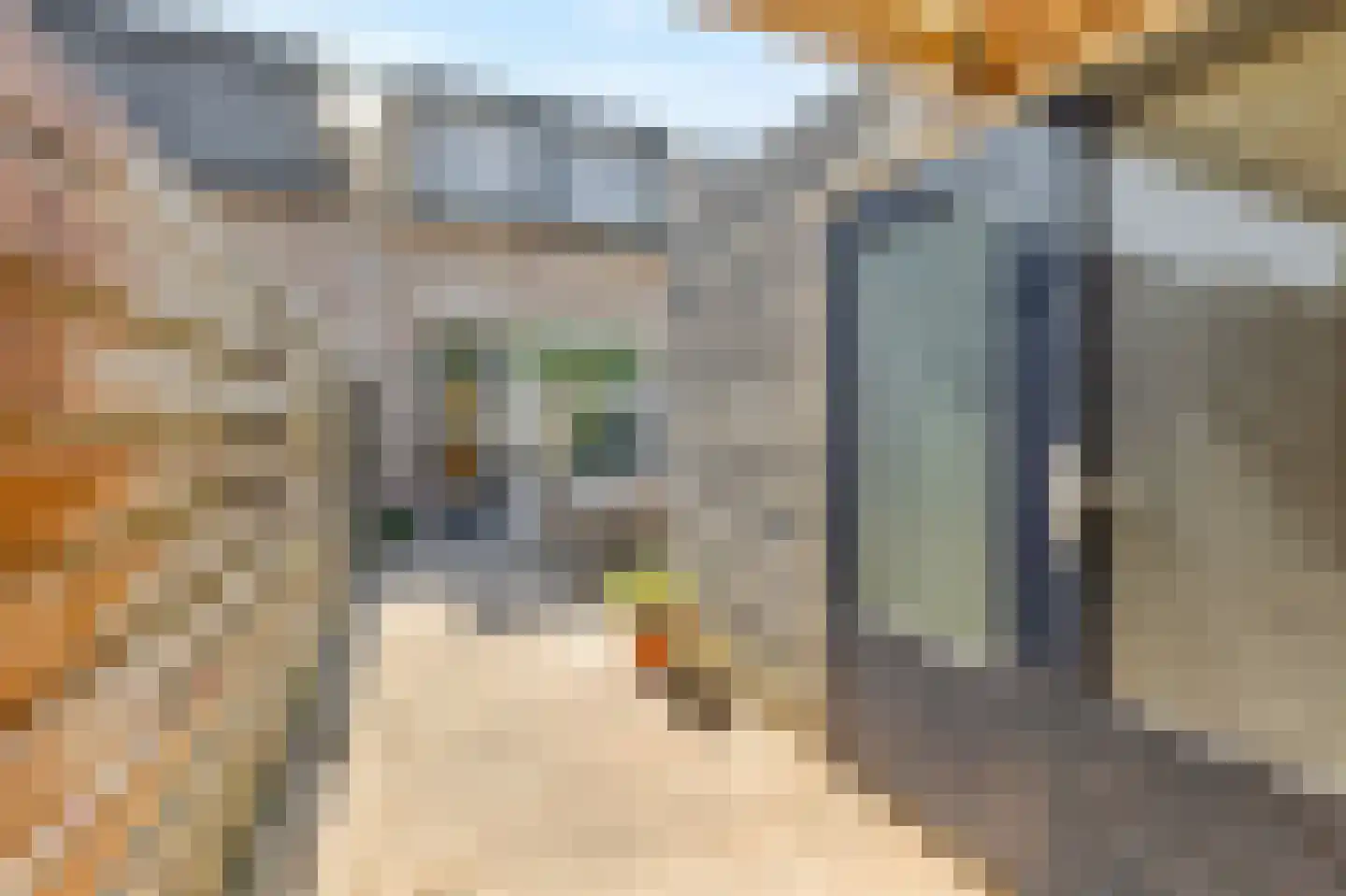 Schapenweide 98 Duiven thumbnail 44