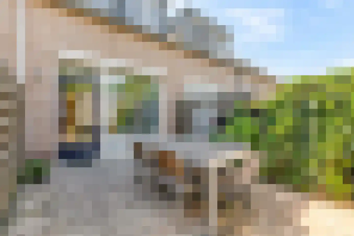 Schapenweide 98 Duiven thumbnail 45