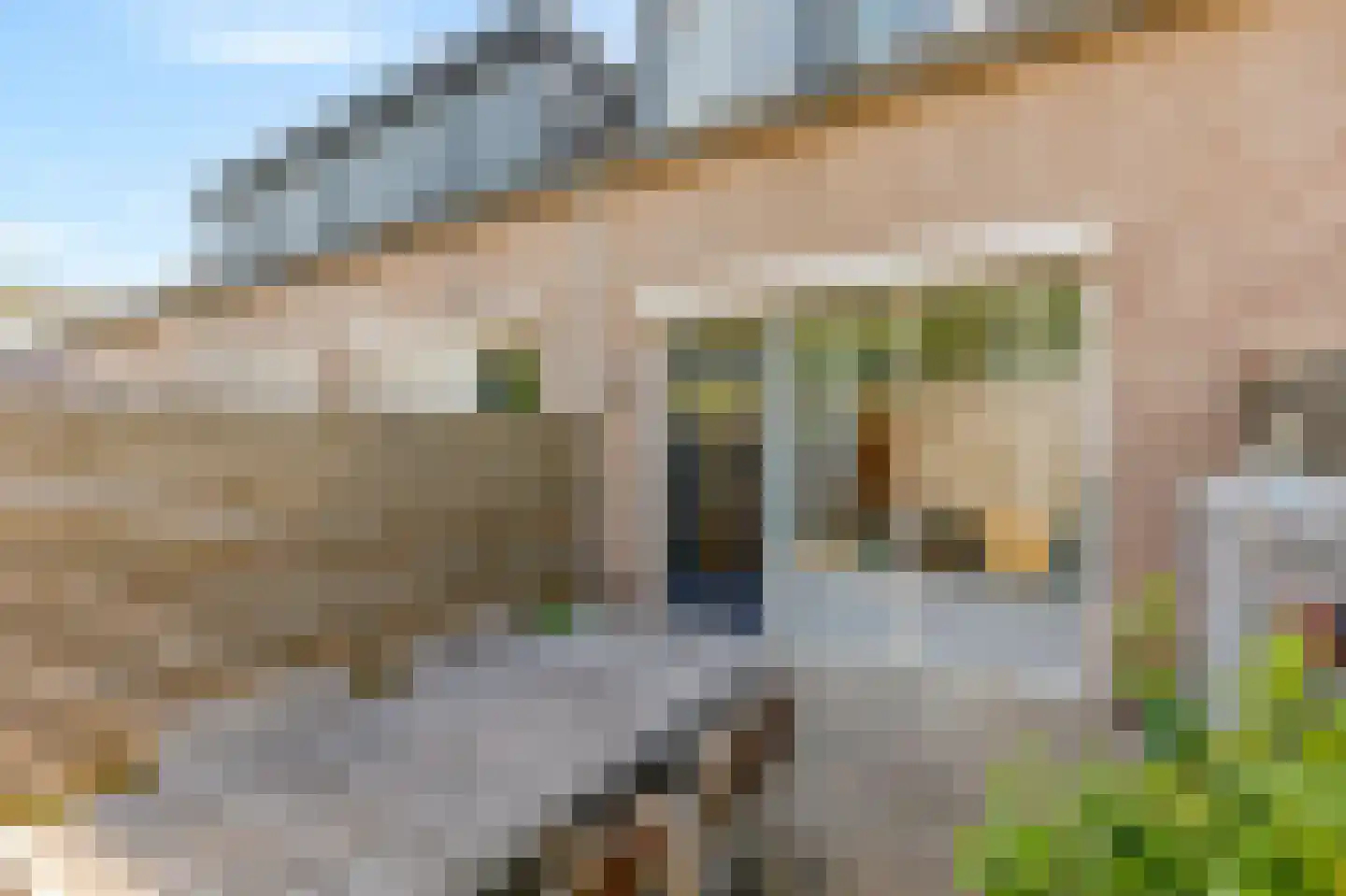 Schapenweide 98 Duiven thumbnail 46