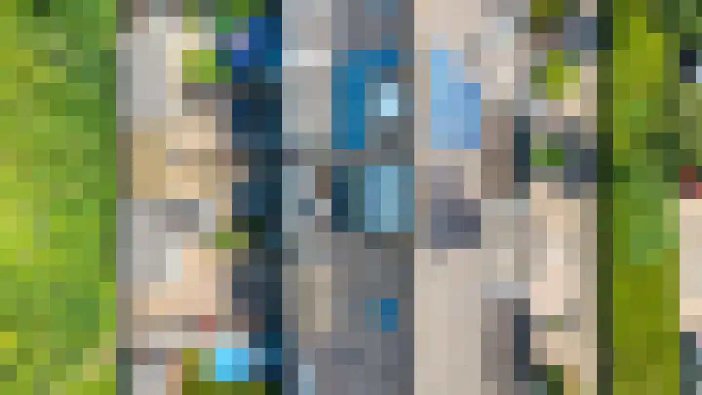 Schapenweide 98 Duiven thumbnail 47