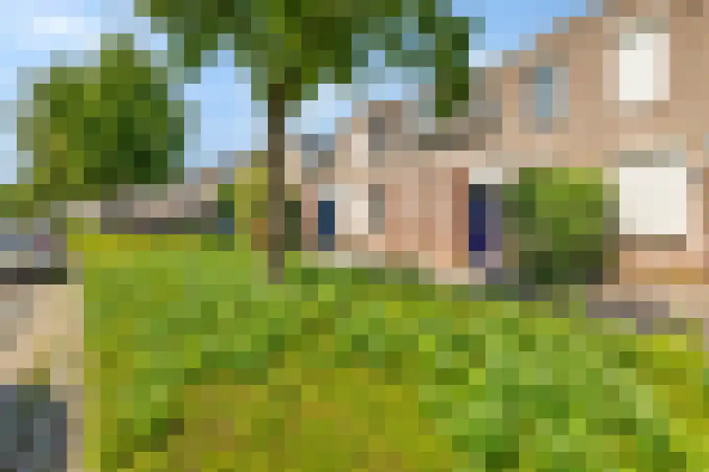 Schapenweide 98 Duiven thumbnail 49