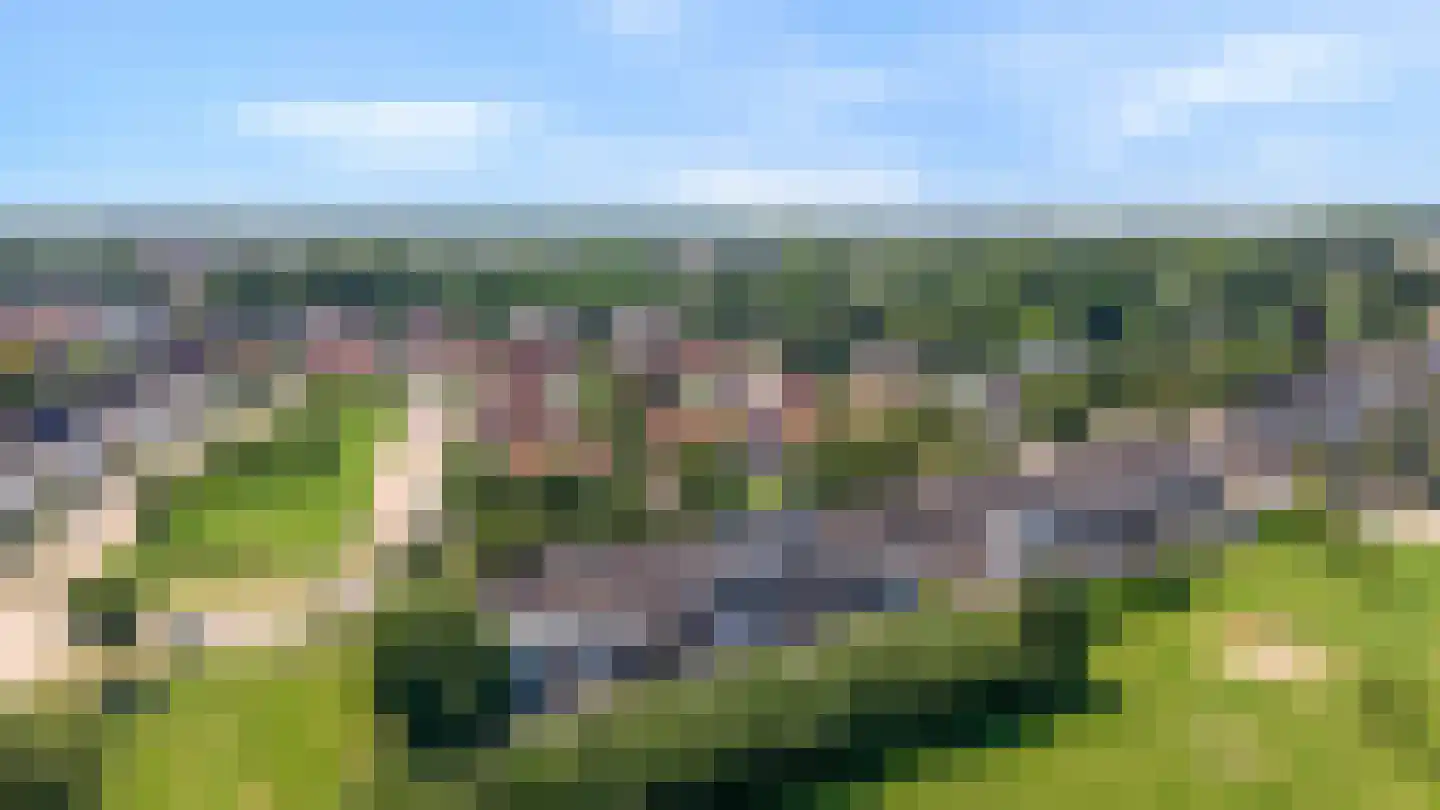 Schapenweide 98 Duiven thumbnail 5