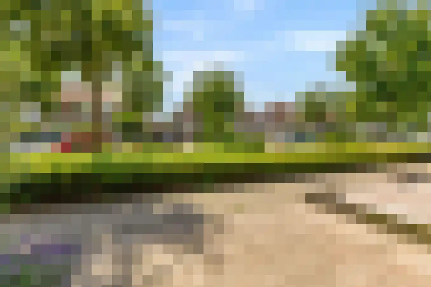 Schapenweide 98 Duiven thumbnail 50