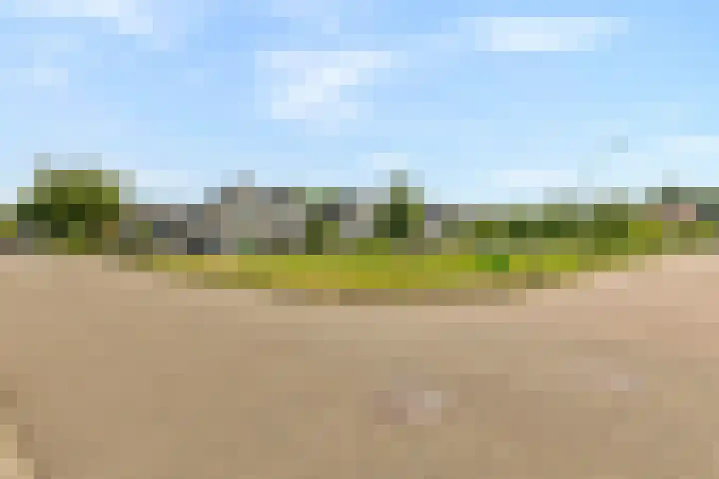 Schapenweide 98 Duiven thumbnail 51