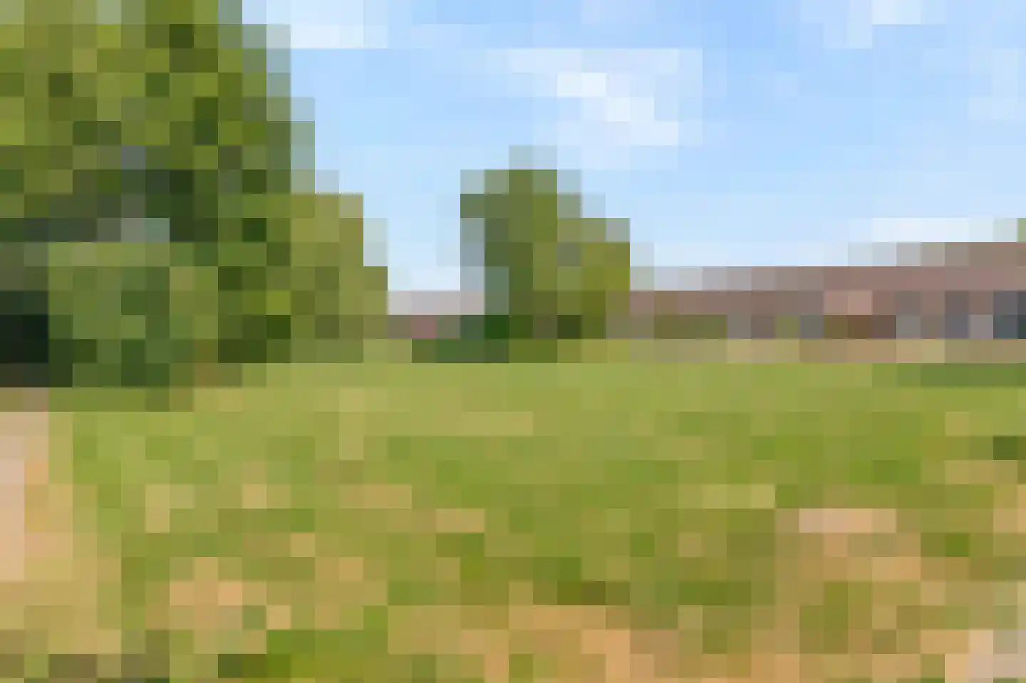 Schapenweide 98 Duiven thumbnail 52
