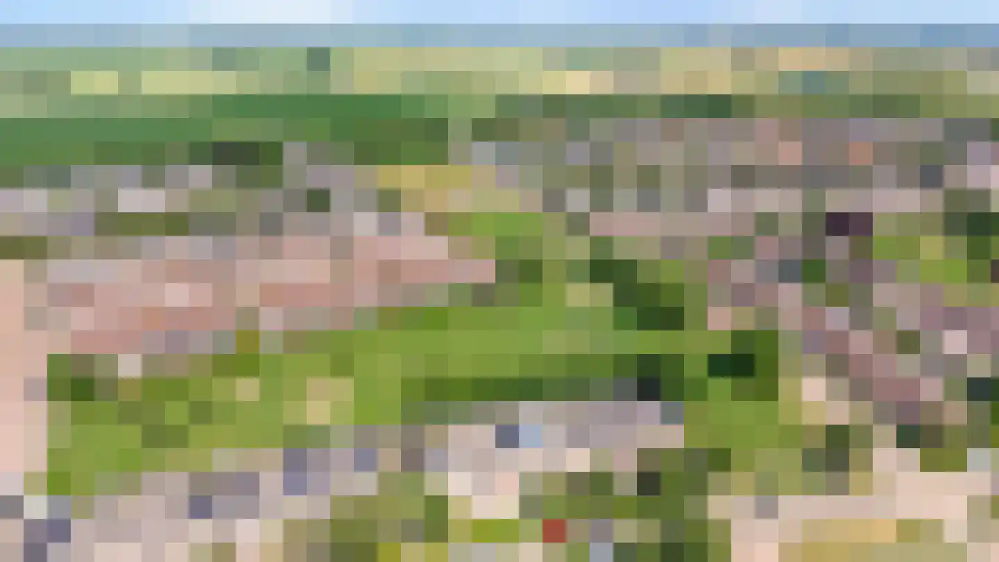 Schapenweide 98 Duiven thumbnail 53
