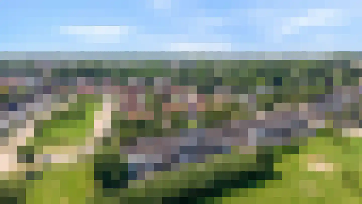 Schapenweide 98 Duiven thumbnail 54