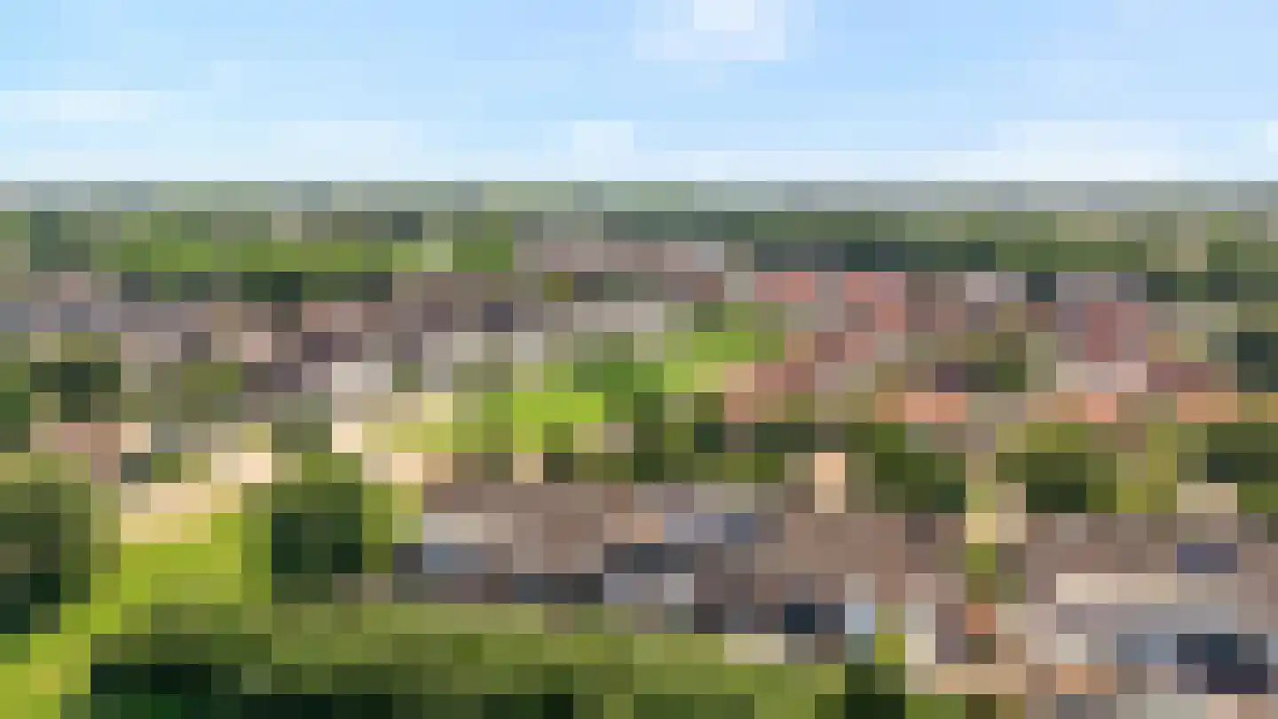 Schapenweide 98 Duiven thumbnail 55
