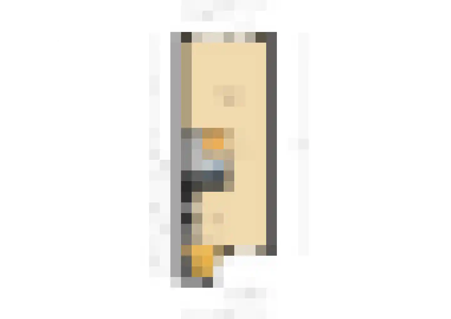 Schapenweide 98 Duiven thumbnail 57