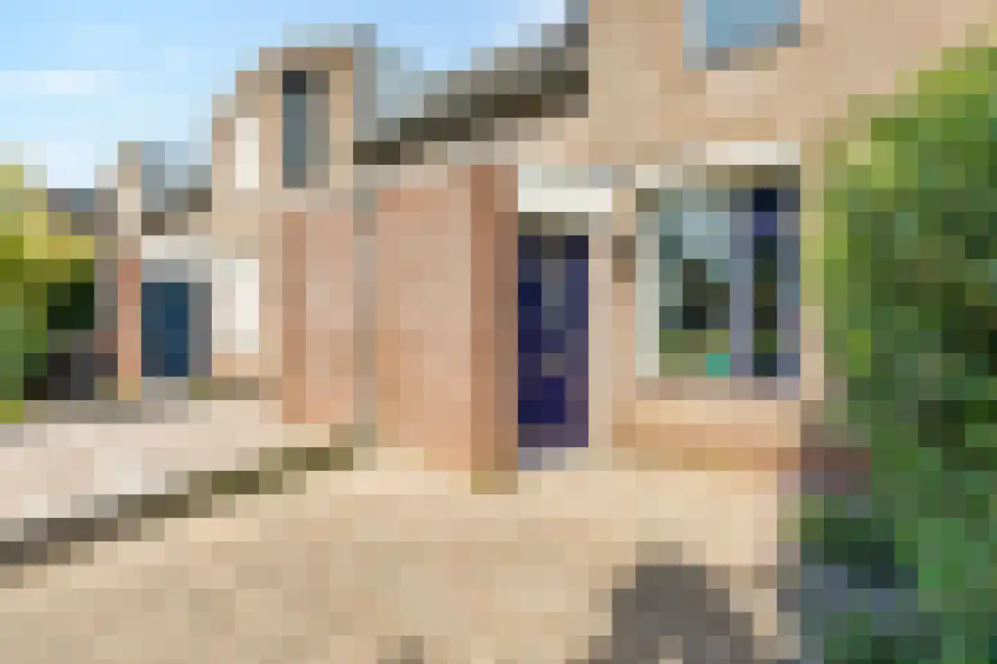 Schapenweide 98 Duiven thumbnail 8